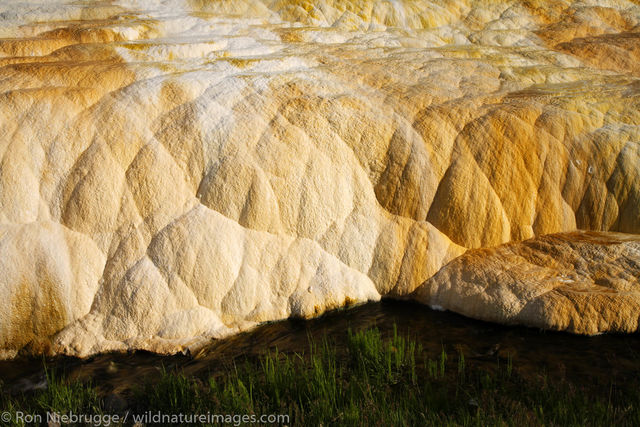 Mammoth Hot Springs