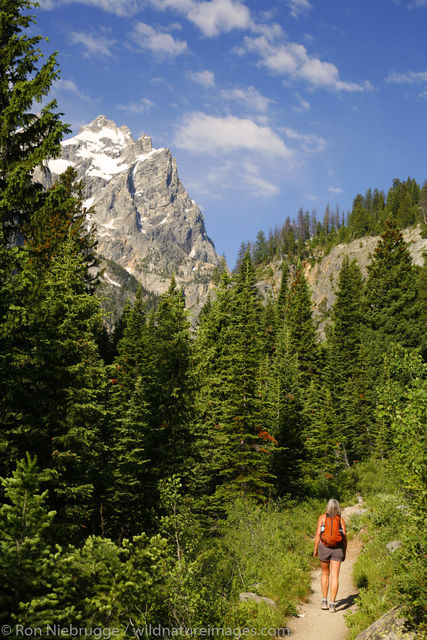 Cascade Canyon Trail