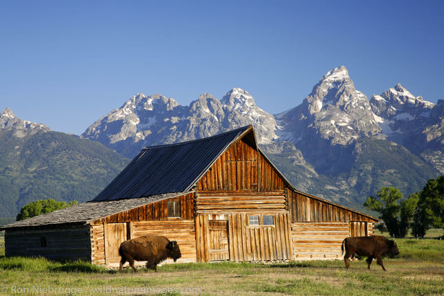 Barn on Mormon Row