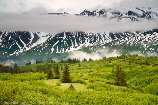 Tatshenshini-Alsek Wilderness Provincial Park 