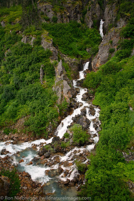 Tongass National Forest