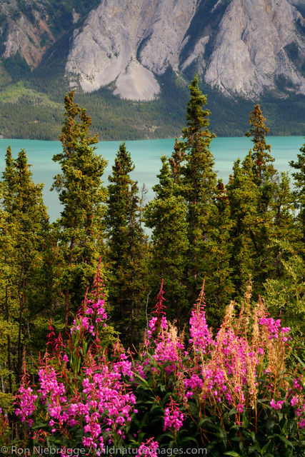Yukon Territory, Canada