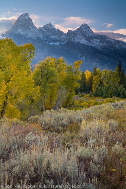 Grand Teton National Park
