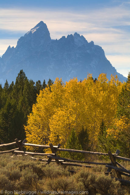 Autumn, Grand Teton National Park
