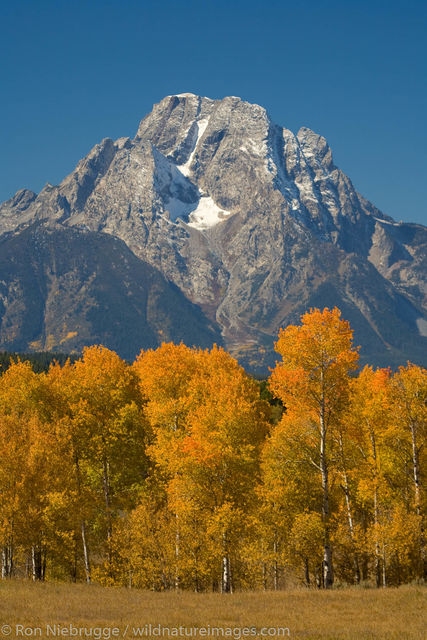 Mount Moran, Grand Teton National Park