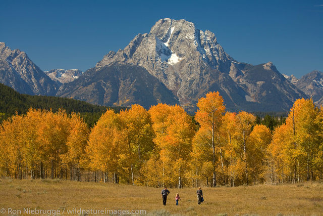 Mount Moran, Grand Teton National Park