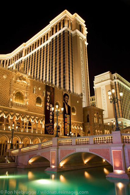 The Venetian Hotel and Casino