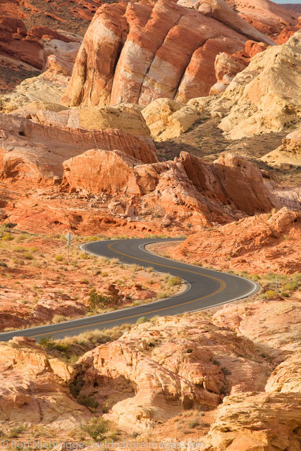 Road in Valley of Fire State Park, Nevada