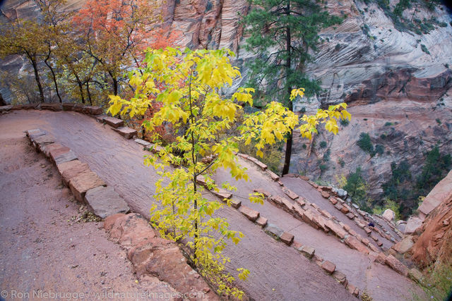 Angels Landing trail, Zion