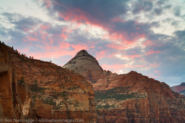 Canyon Overlook