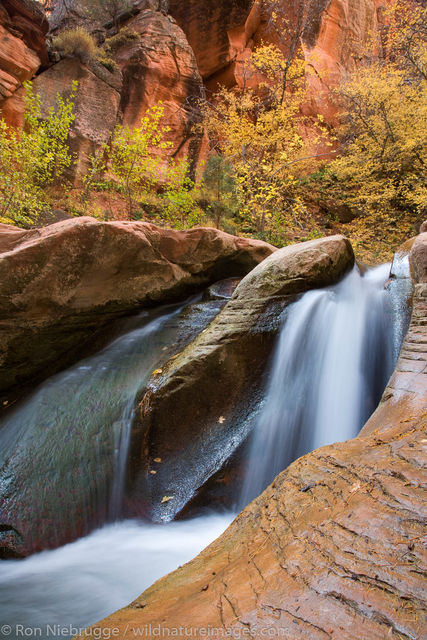 Canyon near Zion