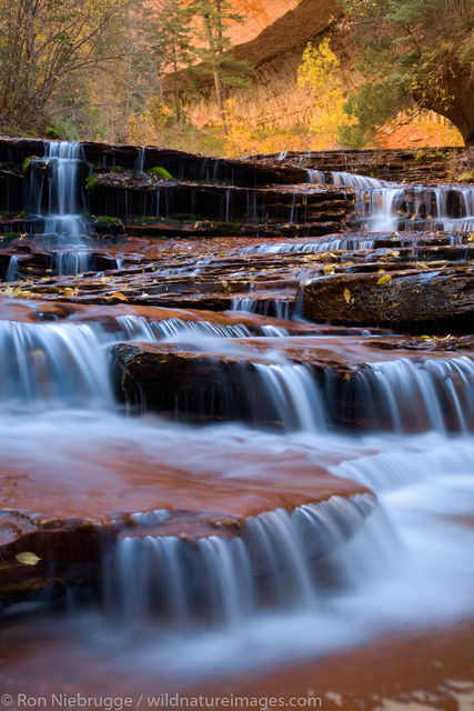 Left Fork of North Creek