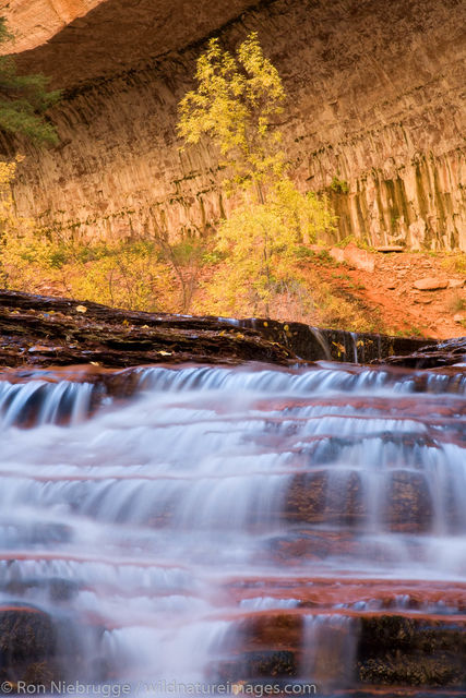 Left Fork of North Creek, Zion