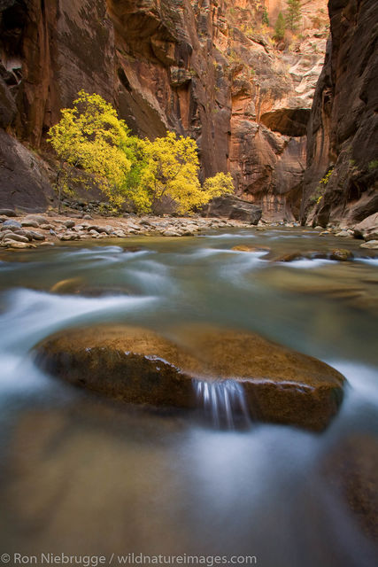 The Narrows, Zion National Park