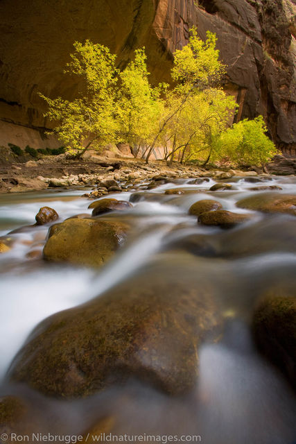 The Narrows