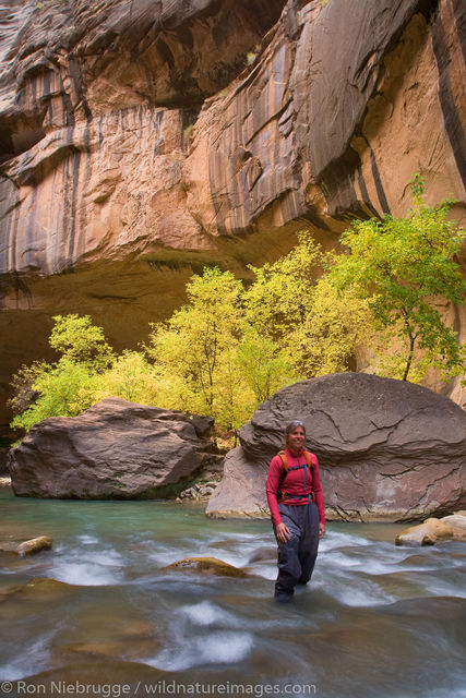 The Narrows, Zion National Park