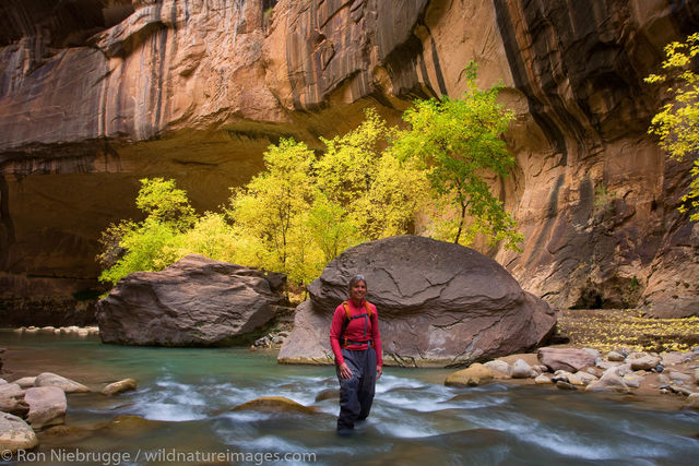 The Narrows, Zion National Park