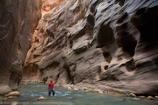 The Narrows, Zion National Park