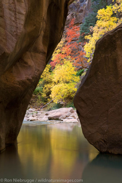 The Narrows, Zion National Park