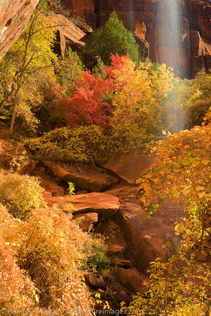 Emerald Pools Trail, Zion National Park