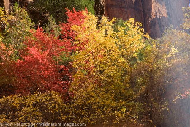 Emerald Pools Trail, Zion National Park