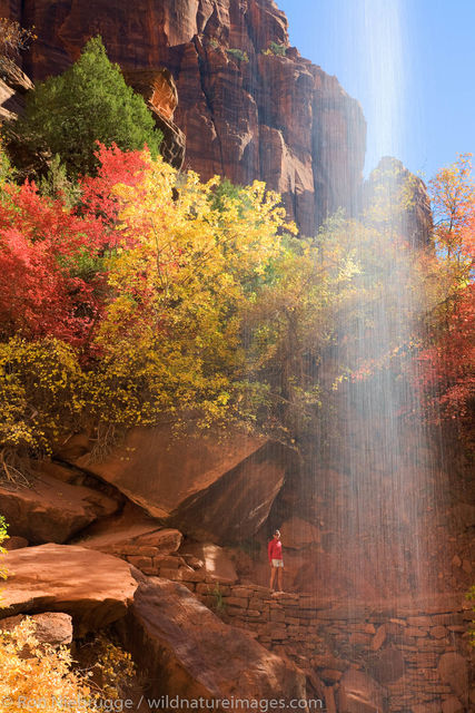 Emerald Pools Trail, Zion National Park