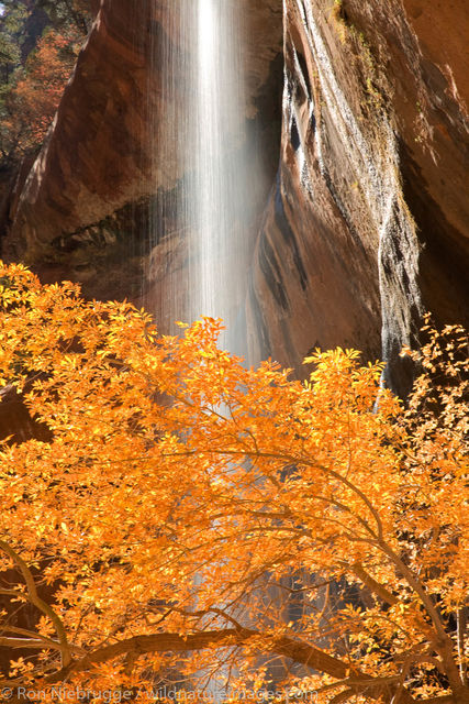 Emerald Pools Trail