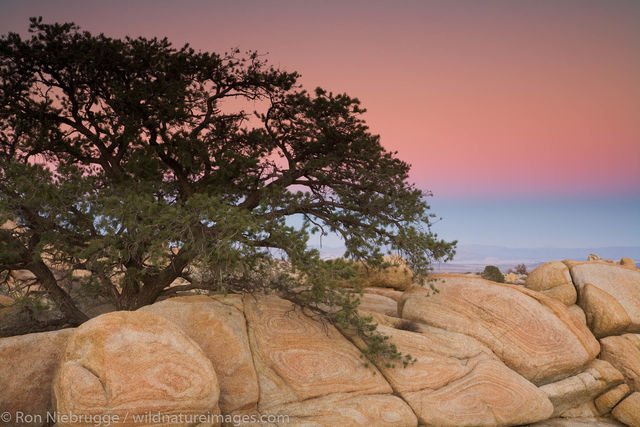 Mojave Desert