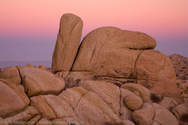 Mojave Desert