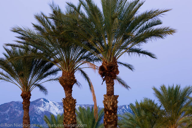 Rancho Mirage