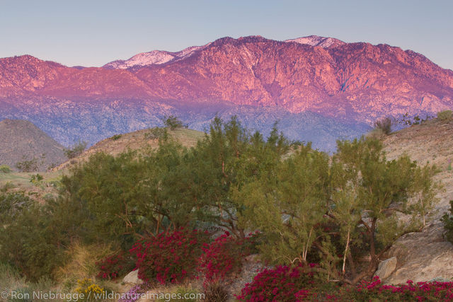 Rancho Mirage