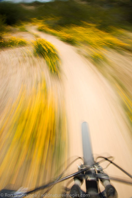 Mountain Biking
