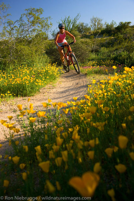 Mountain Biking at McDowell