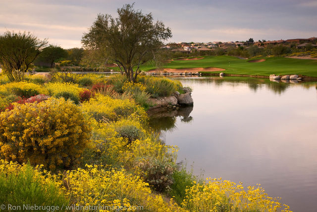 Fountain Hills, Arizona