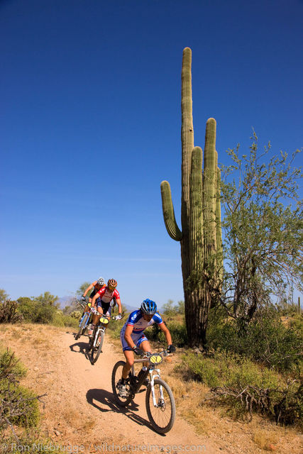 McDowell Mountain Regional Park