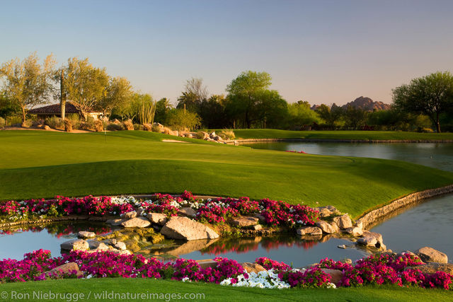 Phoenician Resort Golf Course