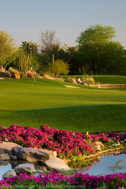 Phoenician Resort Golf Course
