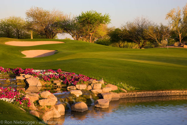 Phoenician Resort Golf Course