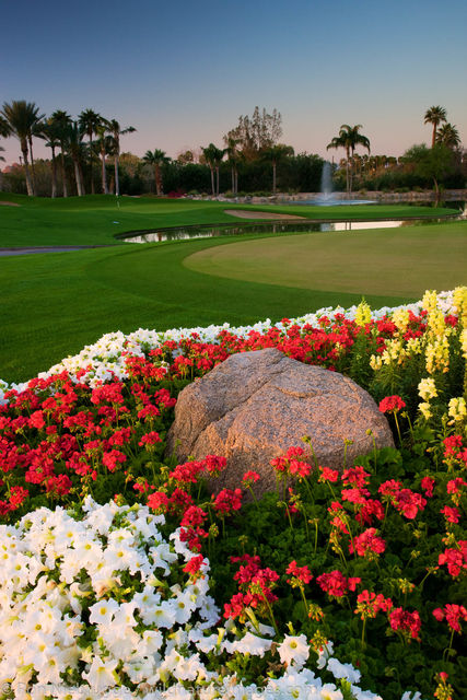 Phoenician Resort