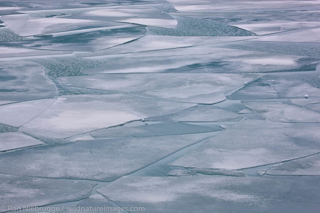 Portage Lake