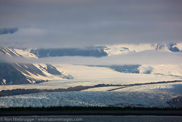 Bear Glacier