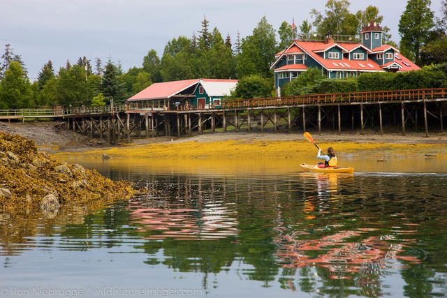 Halibut Cove