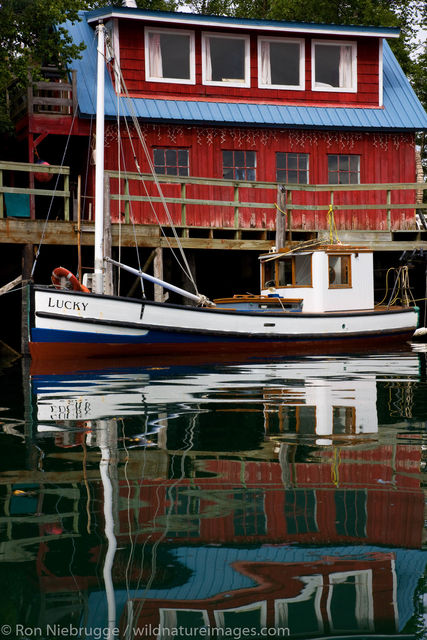 Halibut Cove