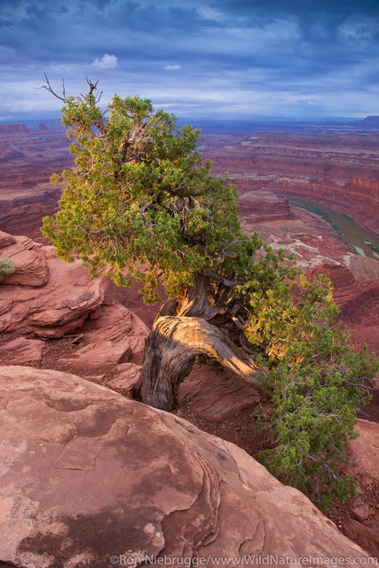 Dead Horse Point