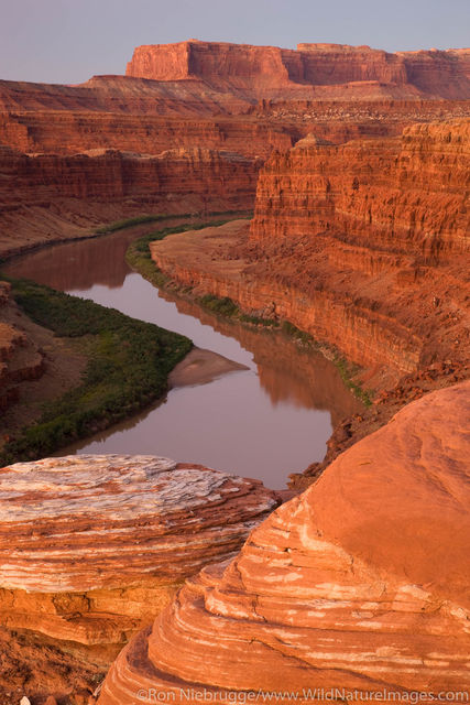 Colorado River 