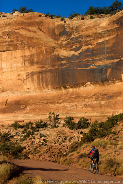 Biking in Canyonlands National Park