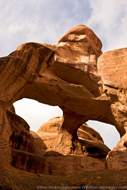Skull Arch
