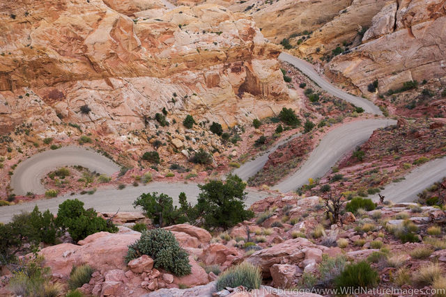 The Burr Trail