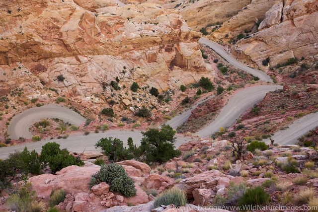 The Burr Trail