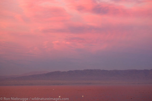 Salton Sea